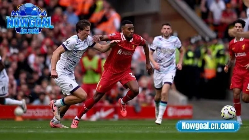 Đội hình dự kiến Liverpool vs AFC Bournemouth ngày 16/8