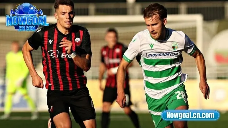 Phong độ thời gian gần đây của Shkendija vs The New Saints